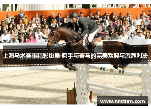 上海马术赛事精彩纷呈 骑手与赛马的完美默契与激烈对决