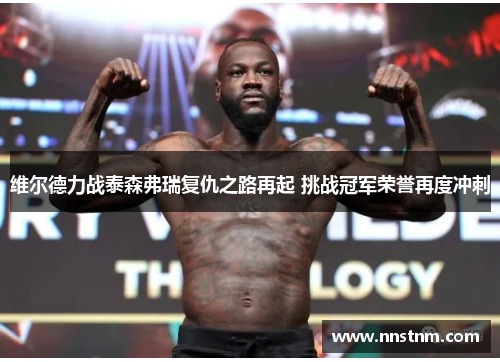 维尔德力战泰森弗瑞复仇之路再起 挑战冠军荣誉再度冲刺